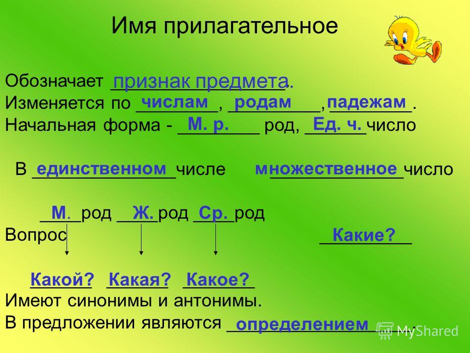 Изменить форму числа. Начальная форма прилагательного. Начальная форма имени прилагательного. Нпчальная ыорма прилаг. Начальная форма имен прилагательных.