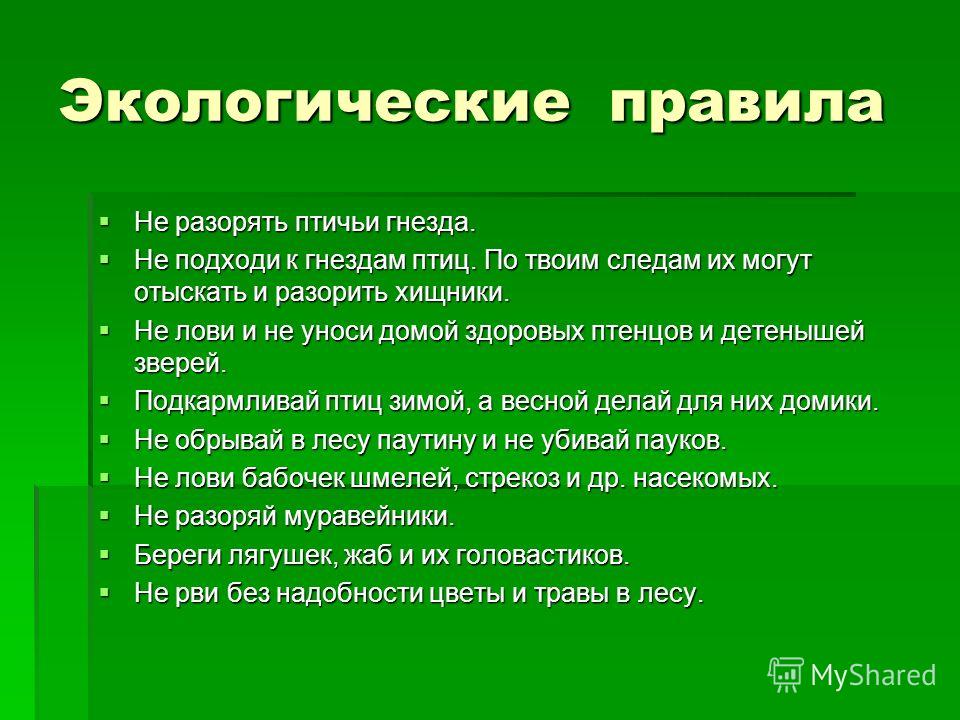 Окружающее нормальный. Правила экологии. Экологическая памятка. Главное правило экологии. Правила соблюдения экологии.