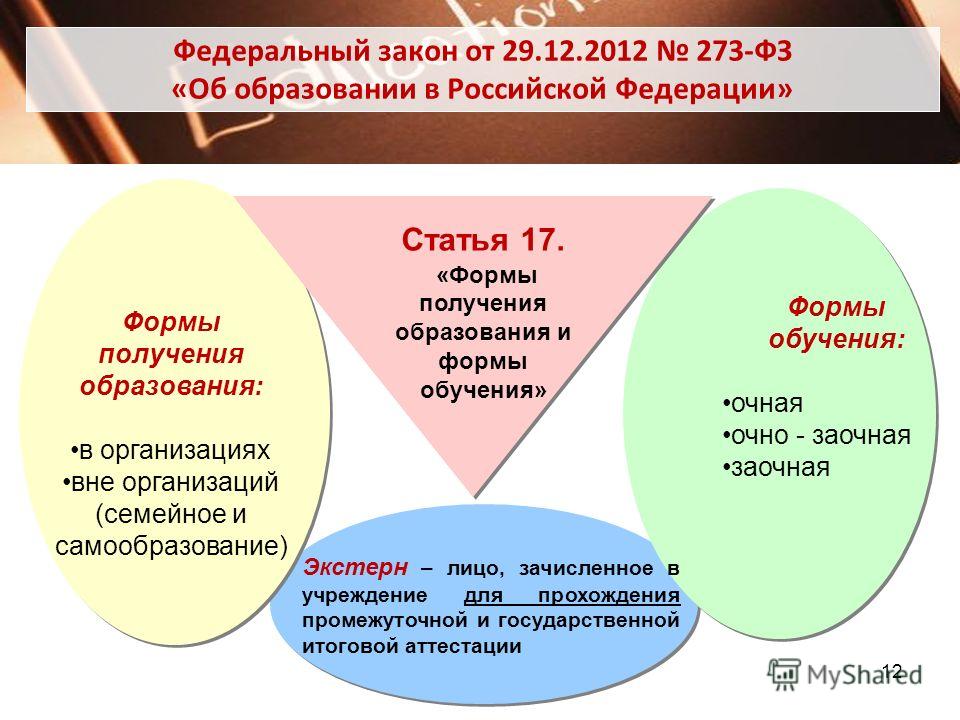 Закон об образовании формы образования. Формы обучения в школе по закону. Формы образования в школе. Виды семейного обучения. Формы обучения в школе по новому закону.