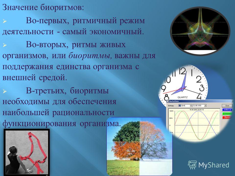 Влияние космических процессов на ритмы земли проект