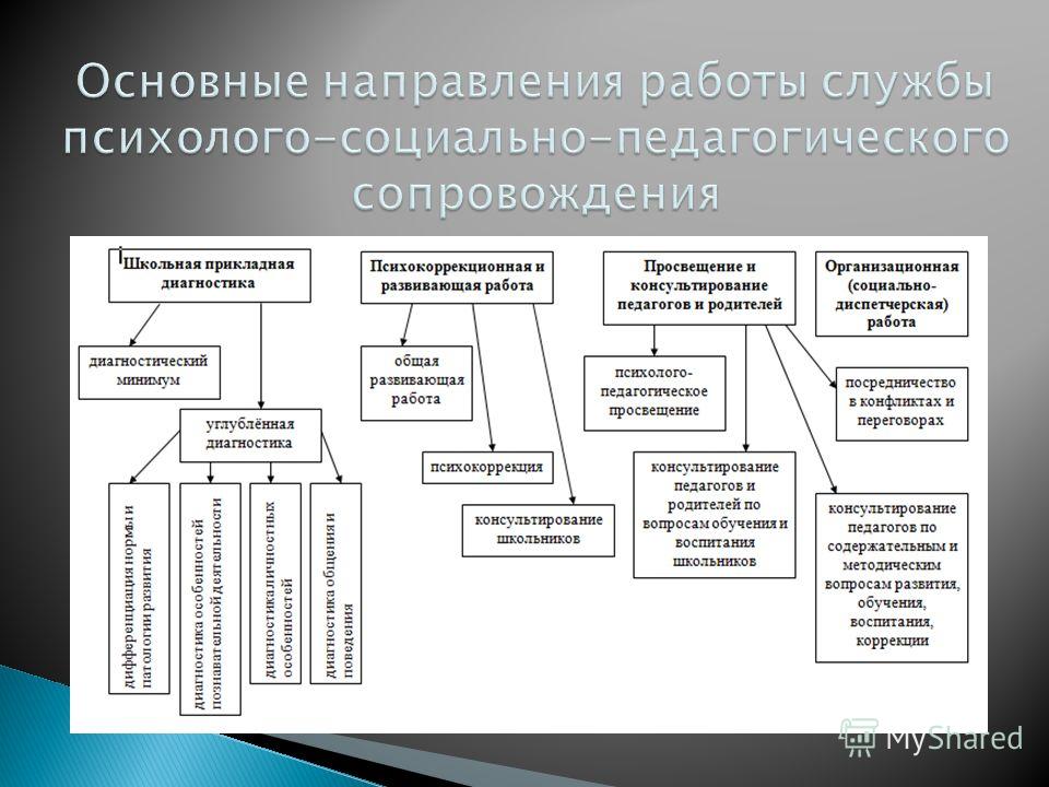 Организация социально психологической работы по направлению проект