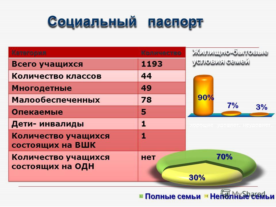 Соцпаспорт в школе образец