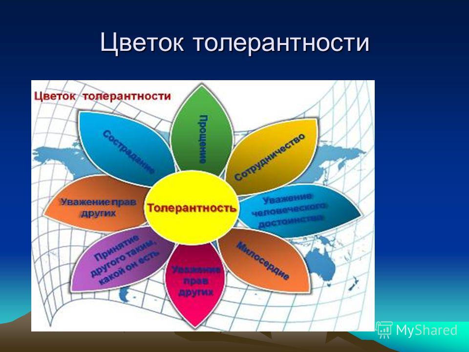 Толерантность классный час. Цветок толерантности презентация. Цветок толерантности и терпимости. Коллаж на тему толерантность. Цветок толерантности поделка.