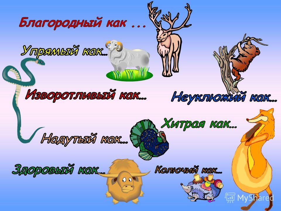 Имя прилагательное картинки