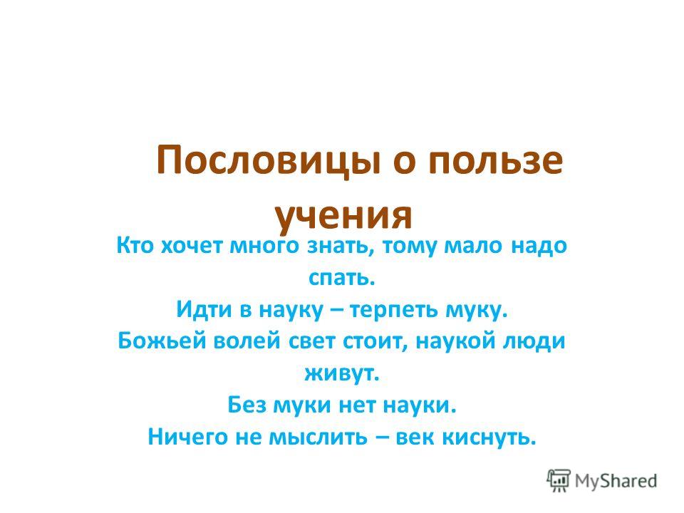 Пословицы об учении 2 класс. Пословицы о пользе учения. Пословицы об учении. Поговорки о пользе учения. Пословицы и поговорки о пользе учения.