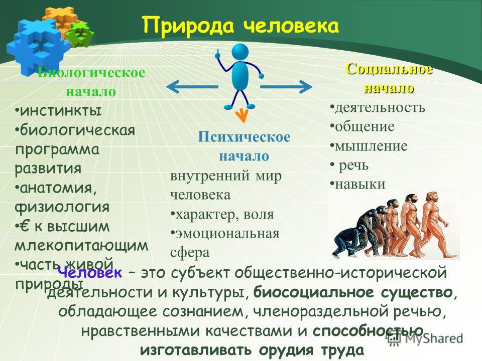 Значение социальной эволюции. Социальная природа человека. Биологическая и социальная природа человека. Человек и природа. Природные качества человека.