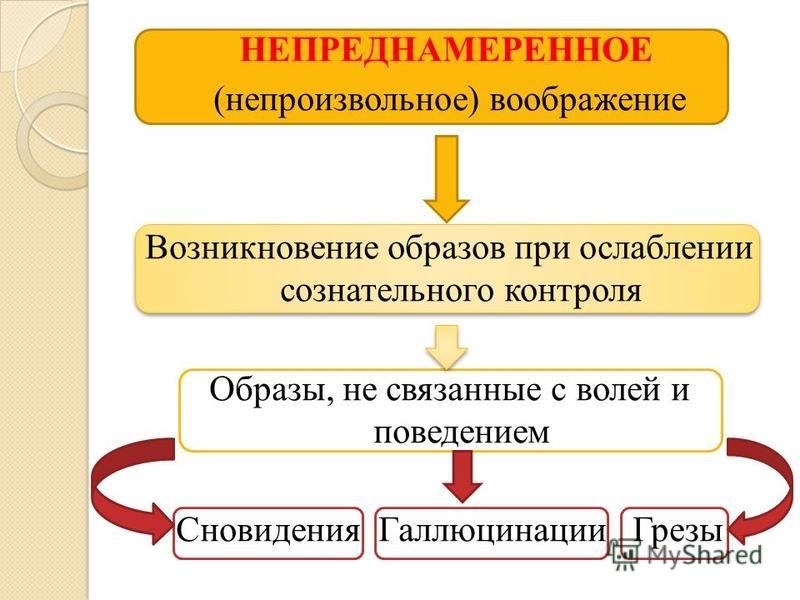 Для чего человеку нужно воображение аргументы