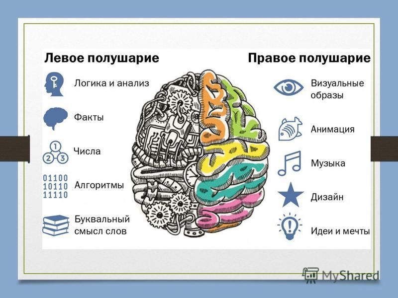 Левой левой 1 2 3. За что отвечает левое и правое полушарие головного мозга. Право ЕИ левое полушаерие. Правое и левое полушарие мозга за что отвечают. Левоп и правоп полушария.