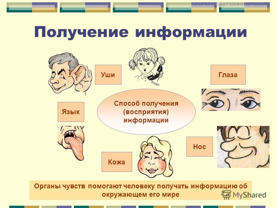 Схема передачи и восприятия информации