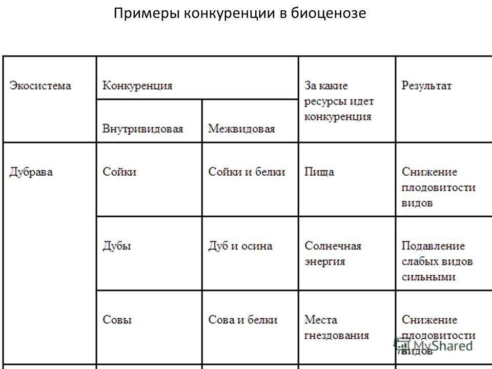 Конкурирующие организмы. Конкуренция вид взаимоотношений примеры. Тип взаимоотношения конкуренция примеры. Примеры конкуренции в биологии. Конкуренция видов примеры в биологии.