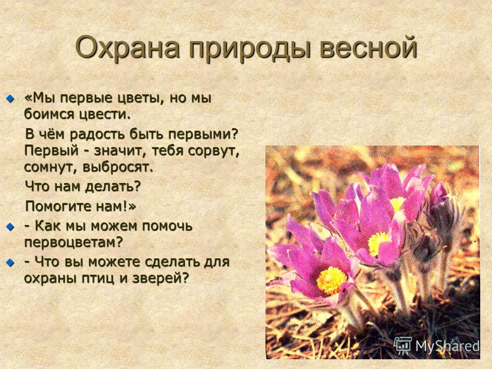 Что делать для охраны природы. Охрана природы весной. Охрана природы весной окружающий мир. Охрана природы весной 2 класс. Правила охраны природы весной.