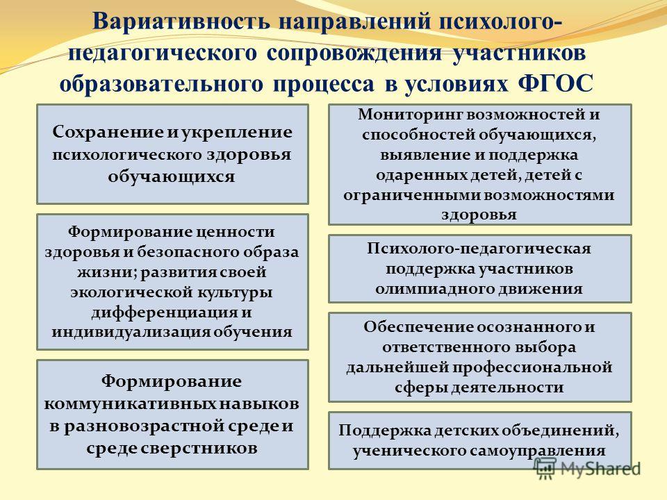 Проект педагогической деятельности всех участников образовательного процесса