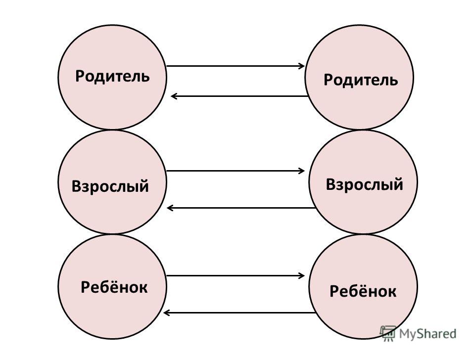 Взрослые родительские организмы схема