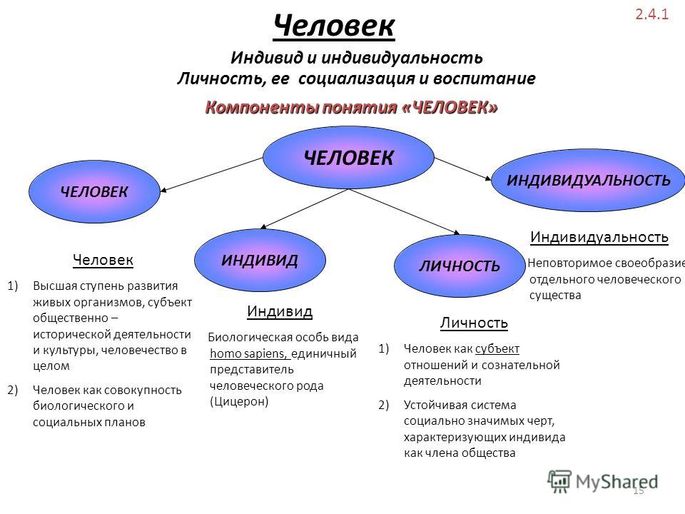 Человек как индивид. Индивид индивидуальность личность.