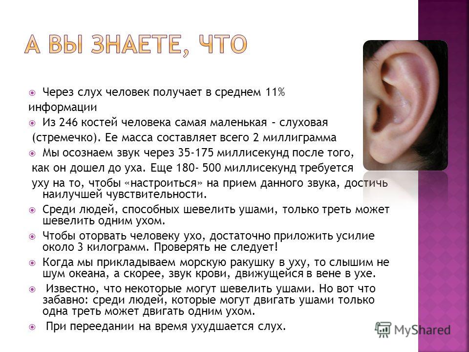 Не называй это в слух. Уши орган слуха для самых маленьких.