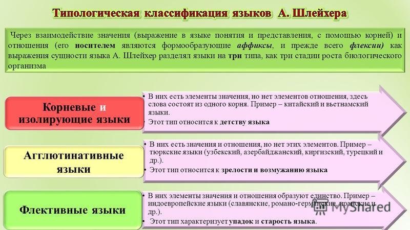 Что значит отношение 5 3. Классификация языков Шлейхера. Типологическая классификация языков.