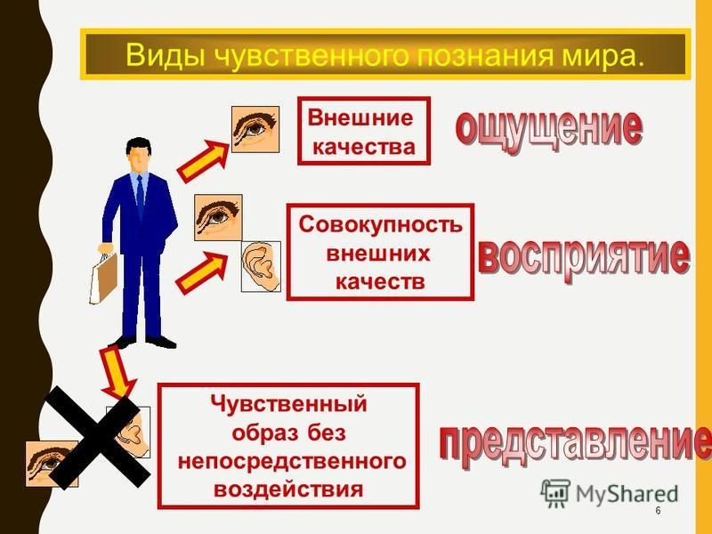 Качество внешний вид. Внешние качества. Внешние качества человека. Внешние и внутренние качества. Качества внешнего вида.