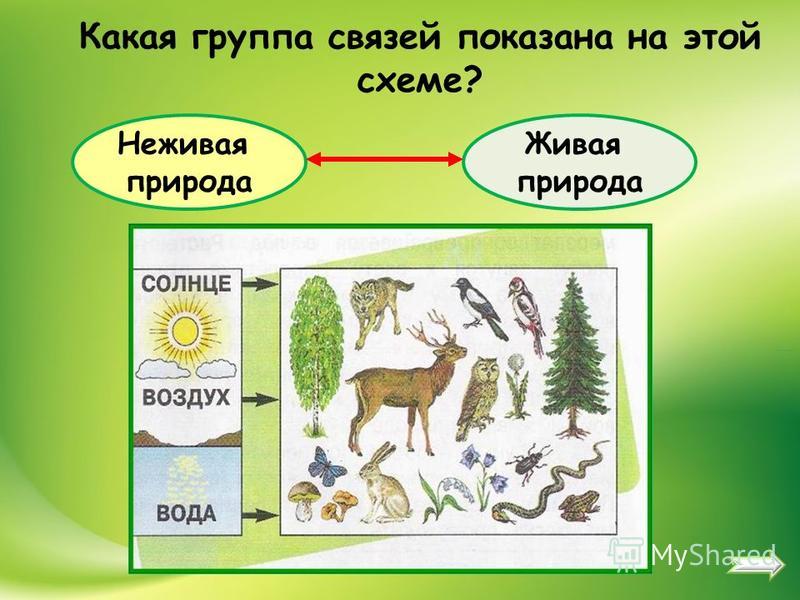 Схема природа 2 класс