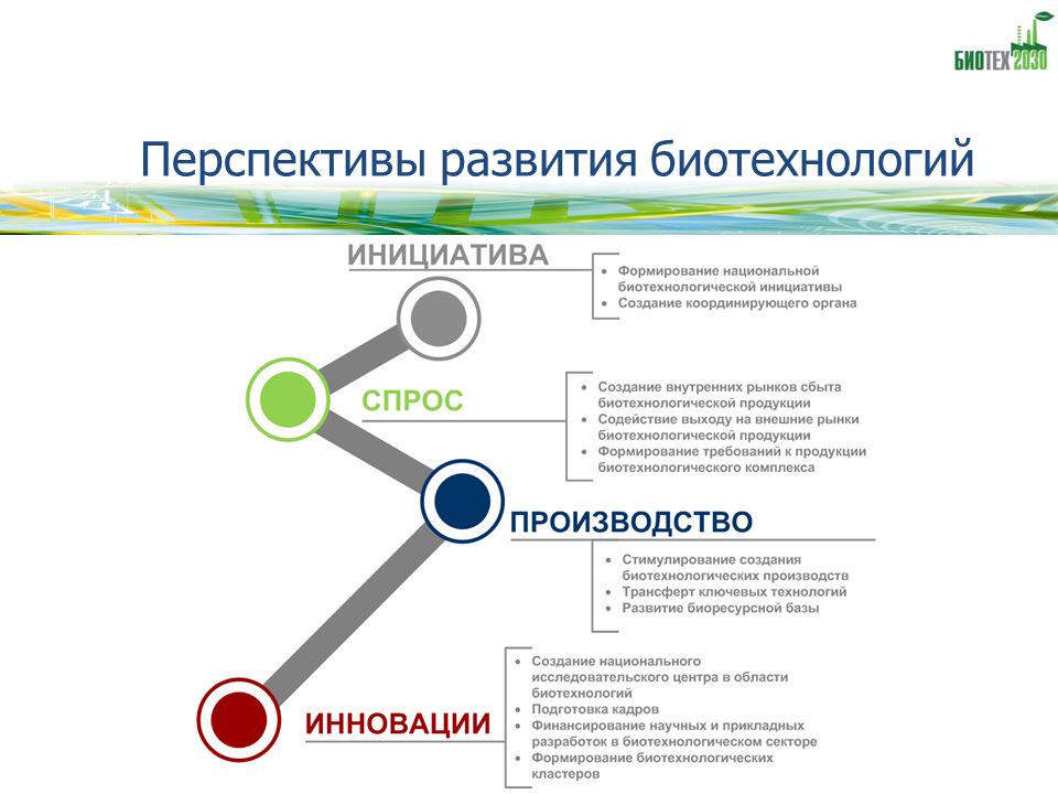 Что такое перспектива развития проекта