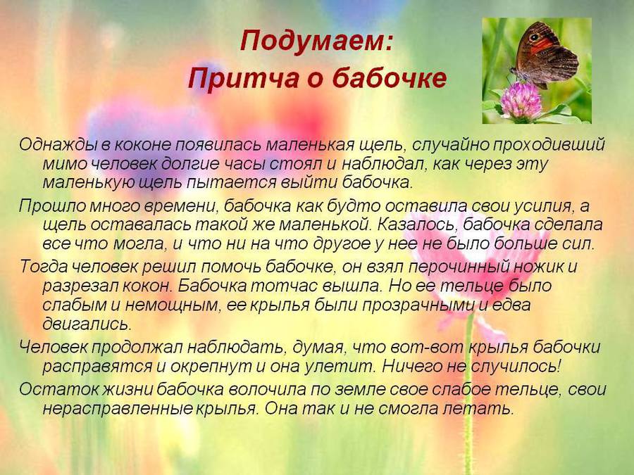 Презентация притча про бабочку