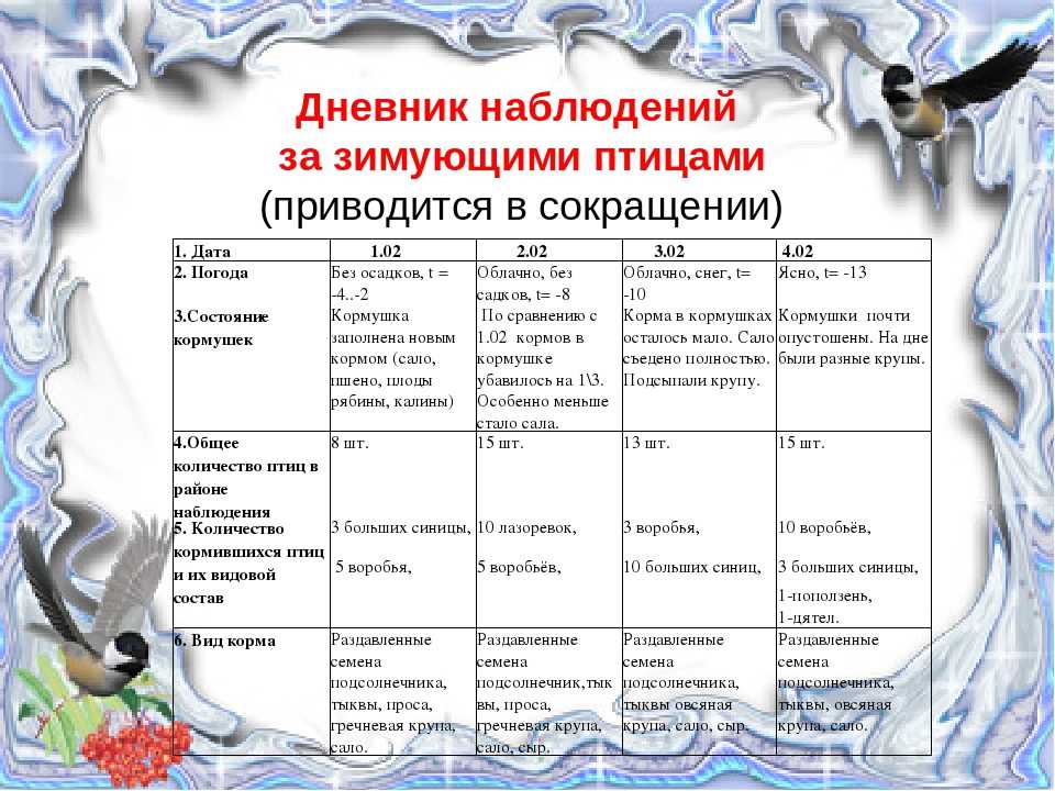 План работы класса 5 класс. Дневник наблюдения за зимующими птицами. Дневник наблюдения за птицами. Дневник наблюдения за птицами зимой. Лист наблюдений за птицами.