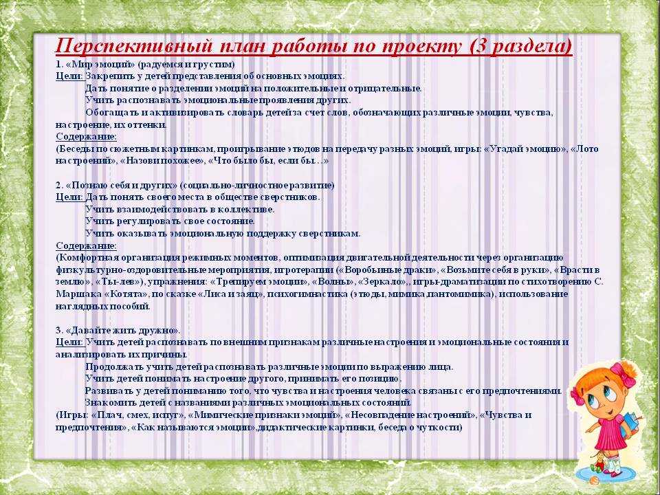 Перспективный план проекта