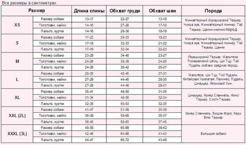 Обхват шеи взрослого. Размер ошейника для собак таблица по породам. Размерная сетка для собак мелких пород той терьер. Таблица размеров для собак мелких пород. Размеры одежды для собак.