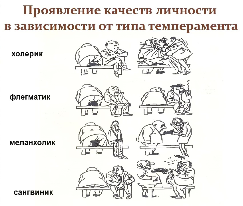 Темперамент в психологии презентация