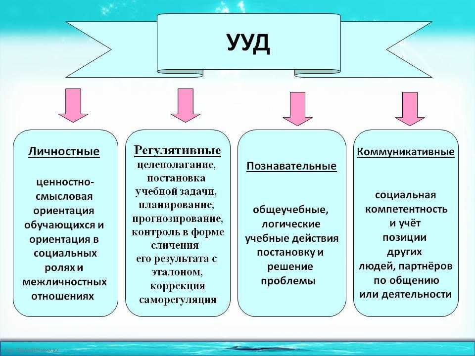 Познавательная деятельность план