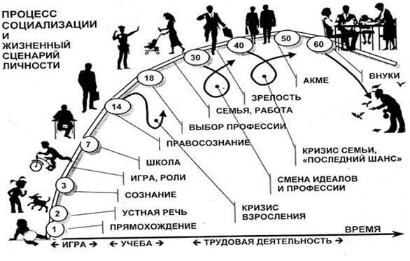 Процессы жизни человека. Жизненный сценарий. Процесс социализации. Жизненный сценарий личности. Жизненный сценарий в психологии.