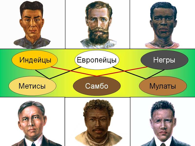 Европейцы это какие. Метисы Мулаты самбо. Расы смешанные расы. Мулаты раса. Названия смешанных рас.