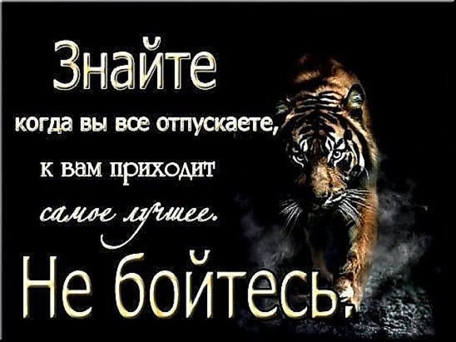 Приходить самый. Не бойся кого то потерять. Ничего не бойся цитаты. Никогда ничего не бойся цитаты. Не бойтесь цитаты.