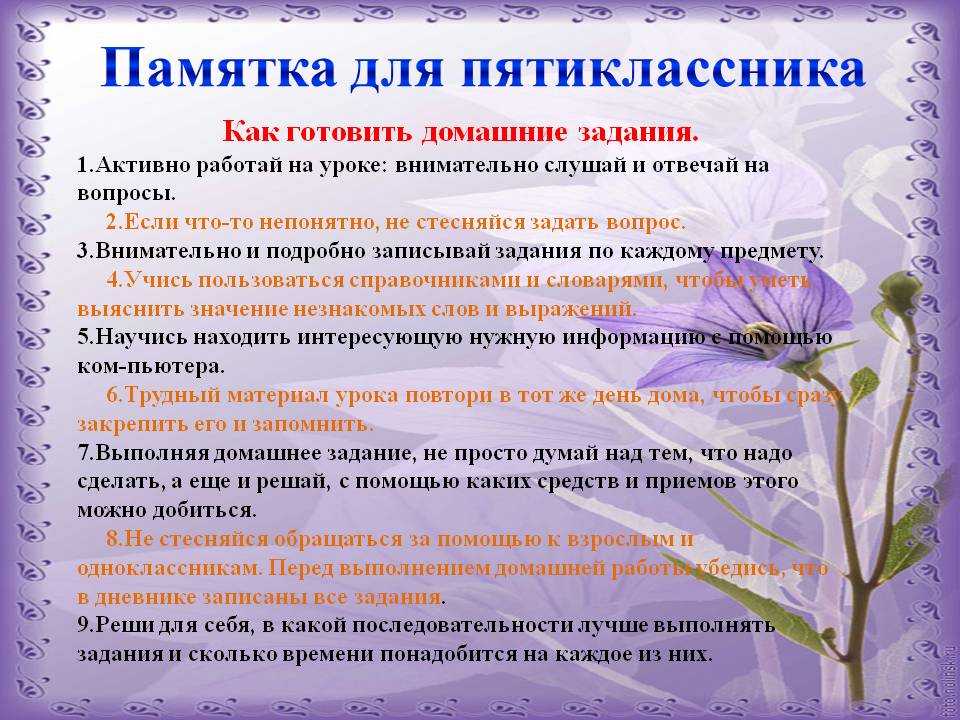 Памятка по созданию мини проекта моя фирма