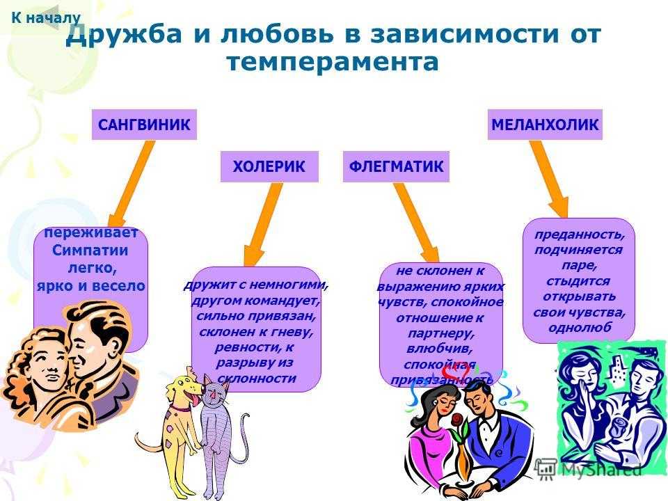 Проект на тему влияние темперамента на выбор профессии