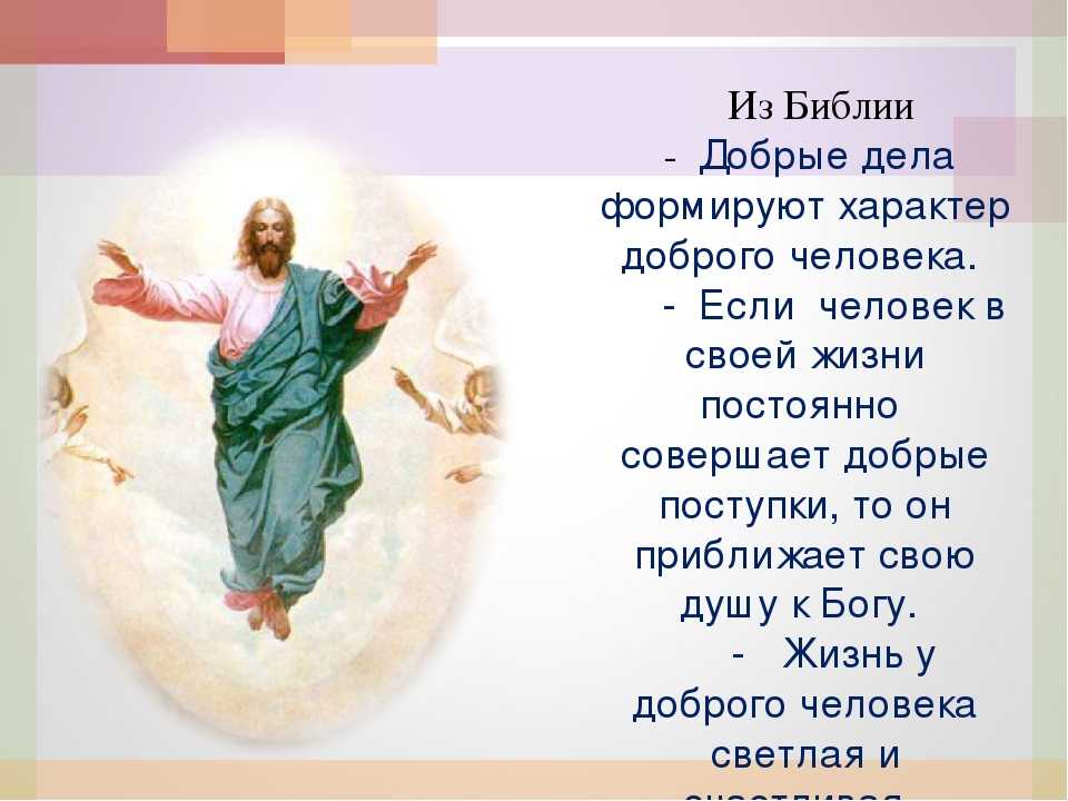 Жизнь священна проект