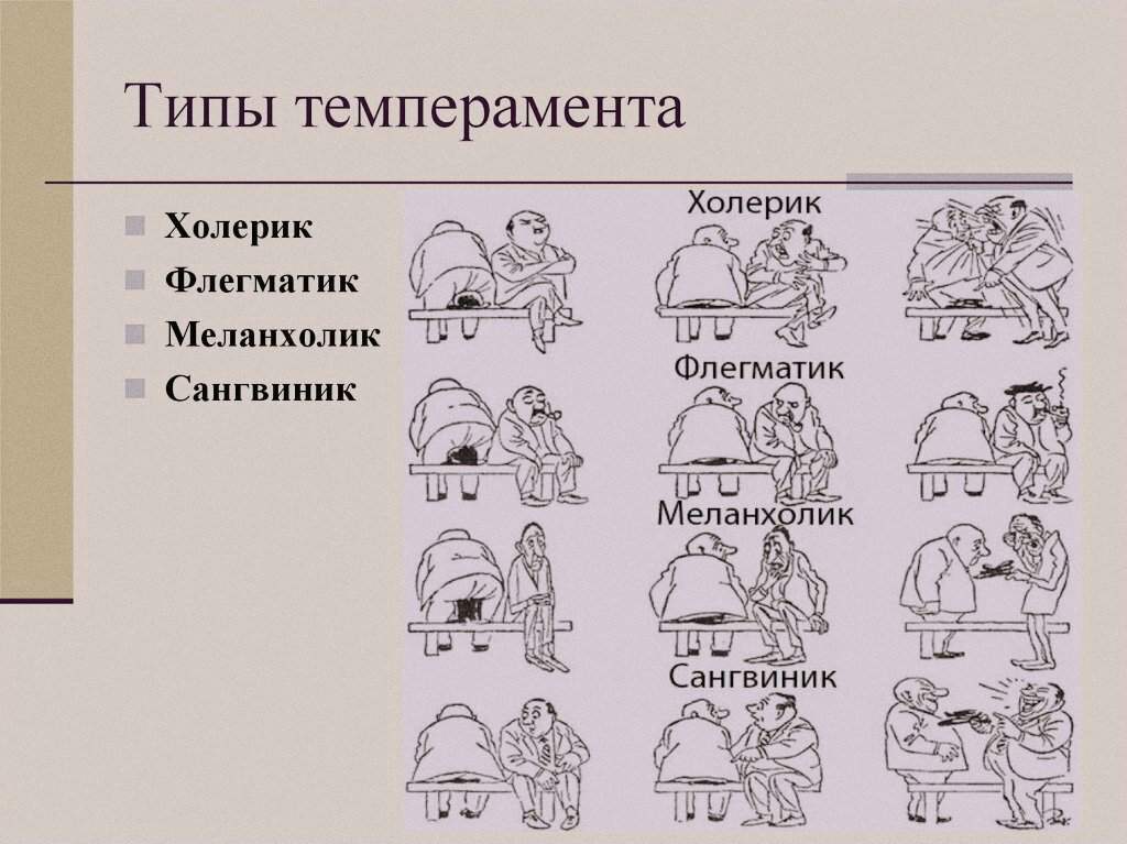 Основные типы темперамента