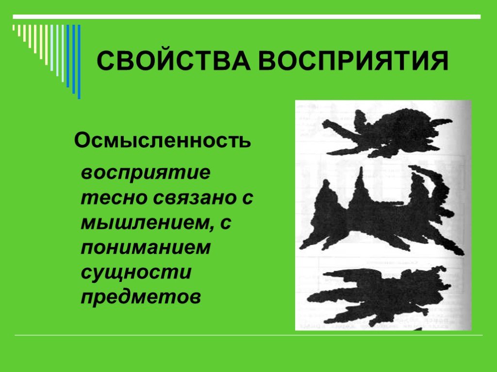 Восприятия 7. Осмысленность восприятия. Свойства восприятия осмысленность. Осмысленность это в психологии. Осмысленность восприятия рисунок.