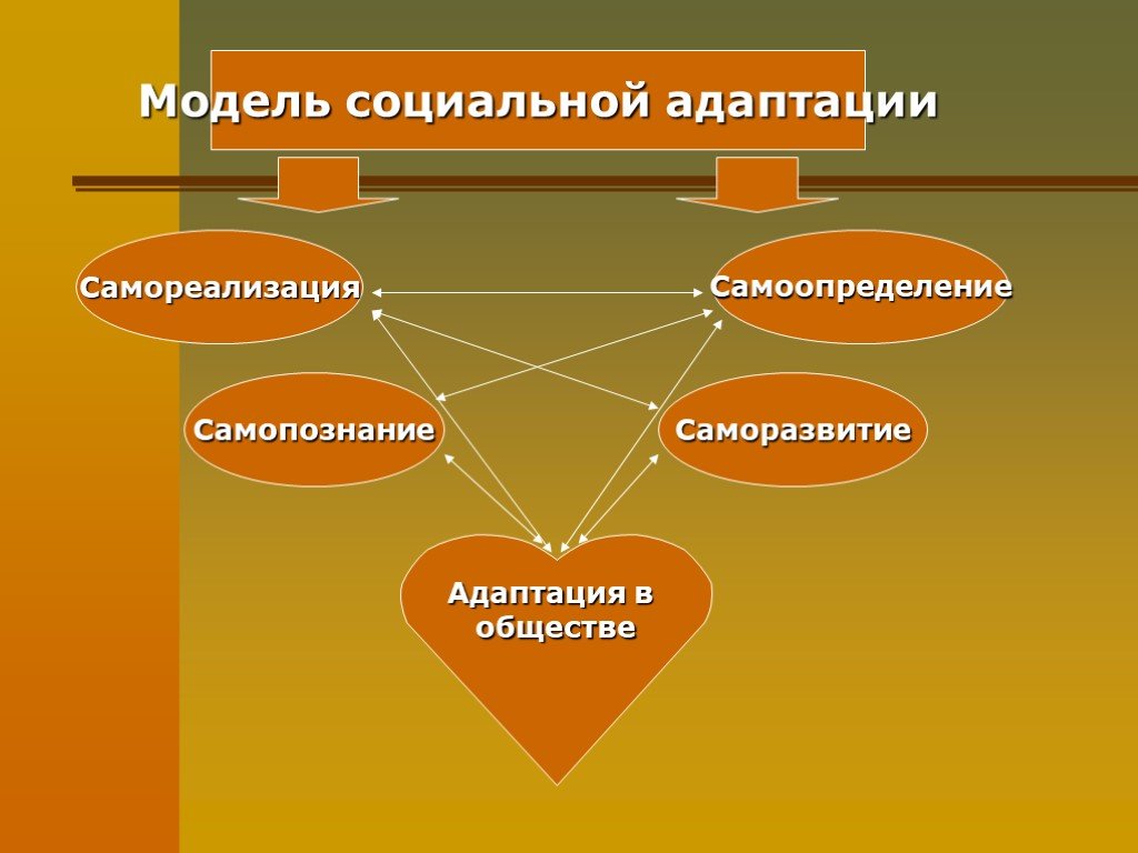 Социальная модель. Модели социальной адаптации. Социальная адаптация схема. Модель адаптации. Моделирование социальной адаптации.