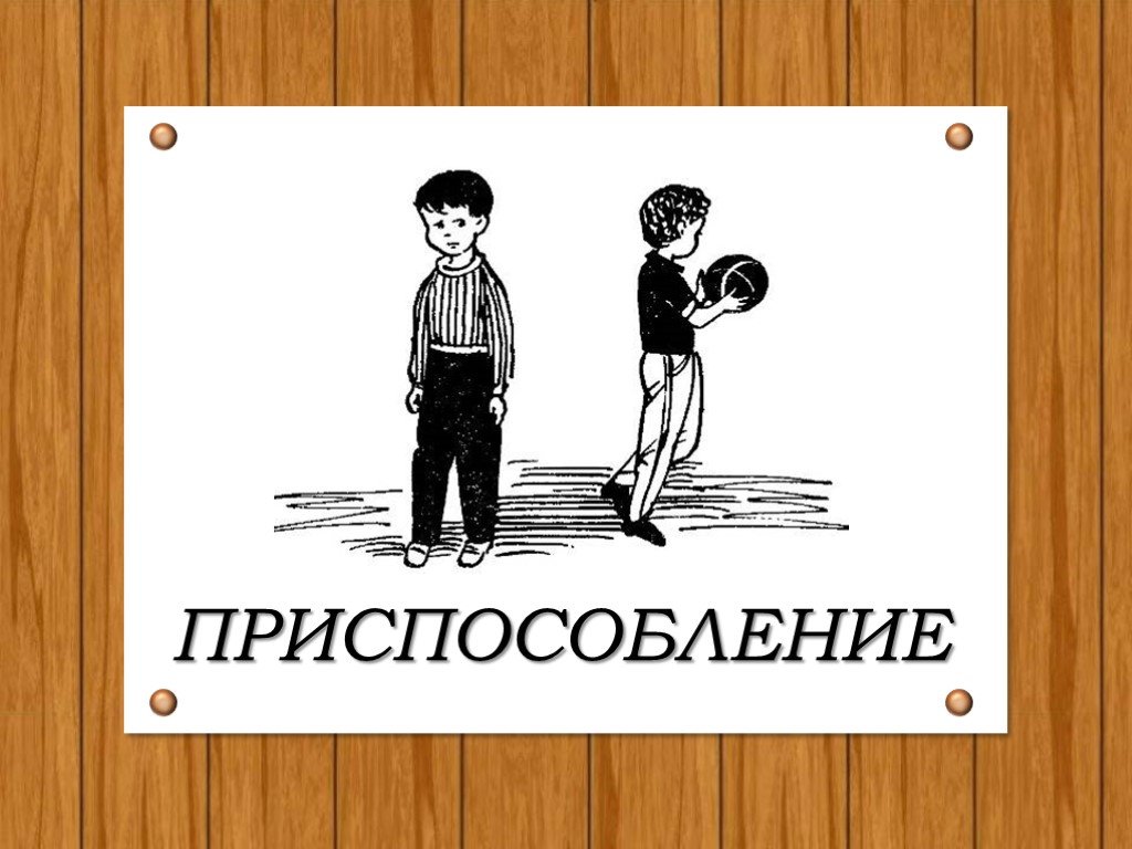 Приспособление поведение. Приспособление в конфликте. Приспособление в конфликте рисунок. Приспособление это в психологии. Стиль приспособления в конфликте.