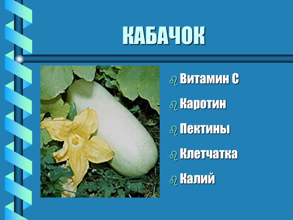 К какой группе растений относится кабачок. Кабачок презентация. Презентация кабачок для детей. Витамины в кабачке. Рассказ о кабачке.