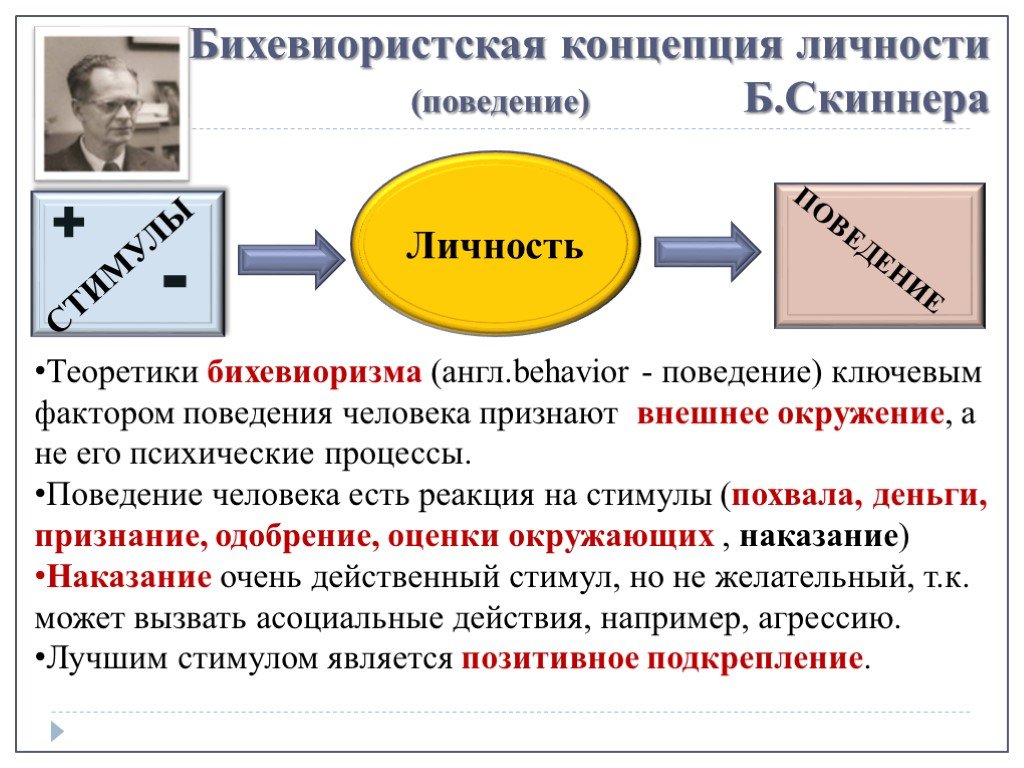 Личностные концепции. Структура личности Скиннера. Бихевиоризм структура личности. Б.Ф. Скиннер структура личности. Структура личности в бихевиоризме схема.