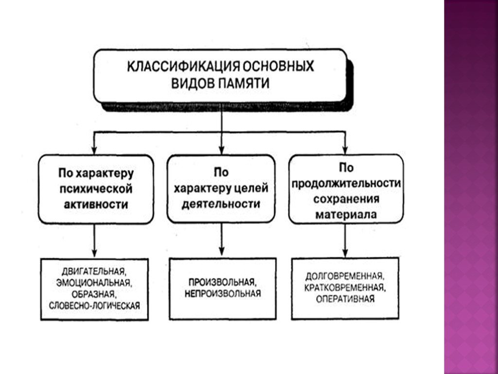 Виды памяти. Виды памяти на уроке. Классификация видов памяти по психологической деятельности. Уровни памяти в психологии. Схема видов памяти Крысько.