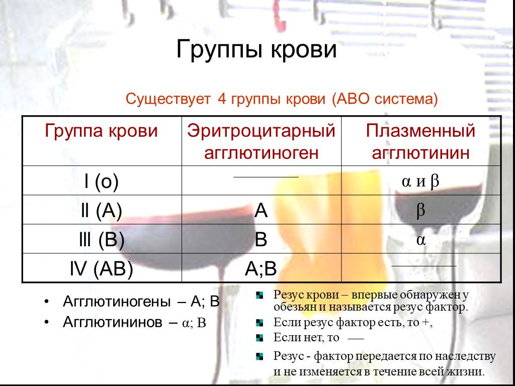 Четвертый положительный группа. 4 Группа крови. Четвертая группа крови особенности. Четверная группа крови. 4 Положительная группа крови.