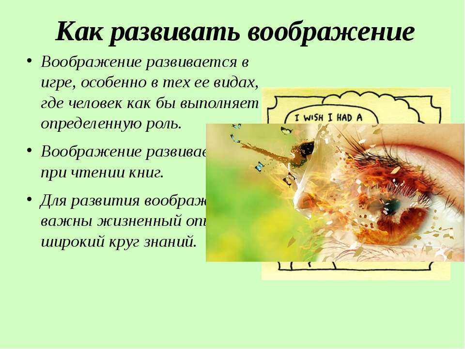 Воображение биология 8 класс презентация