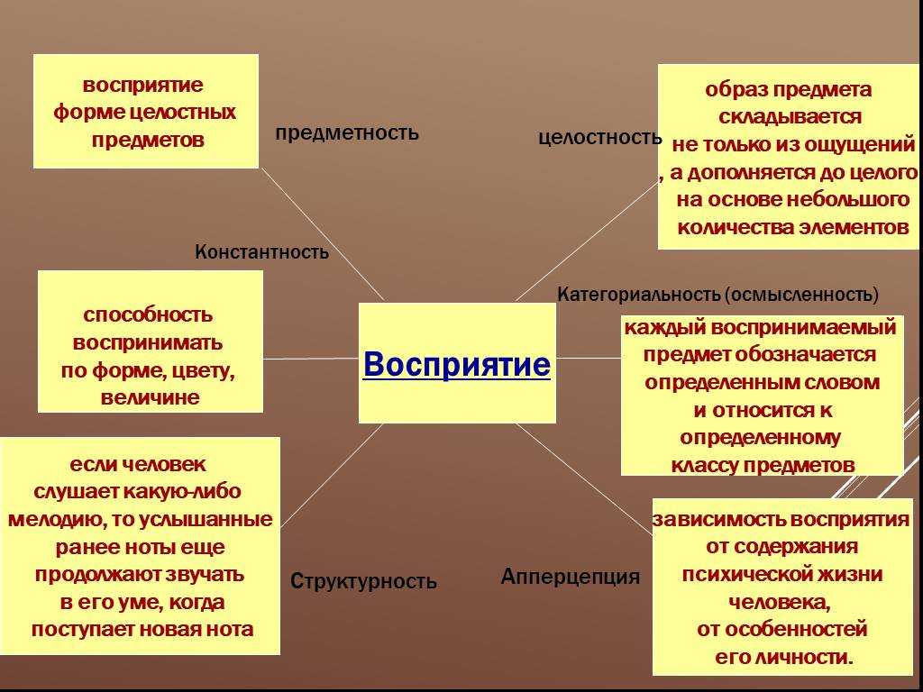 Психология восприятия. Восприятие в психологии. Образы восприятия. Восриятиев психологии. Понятие восприятия в психологии.