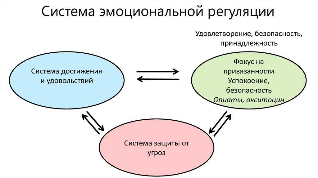 Избираемые схемы интеллектуальной оценки эмоционального реагирования и практических действий