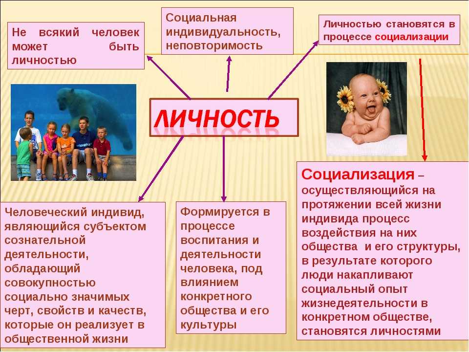 Человек индивид личность презентация