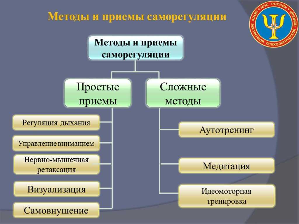 Избираемые схемы интеллектуальной оценки эмоционального реагирования и практических действий