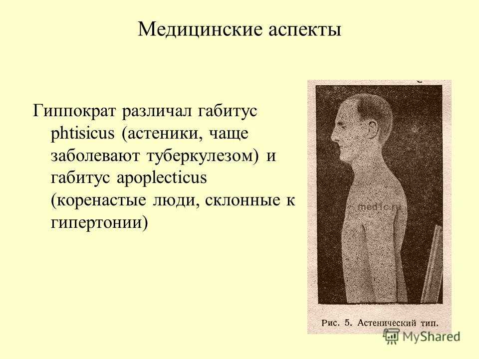 Habitus. Габитус в медицине. Внешний вид больного туберкулезом. Габитус в социологии.