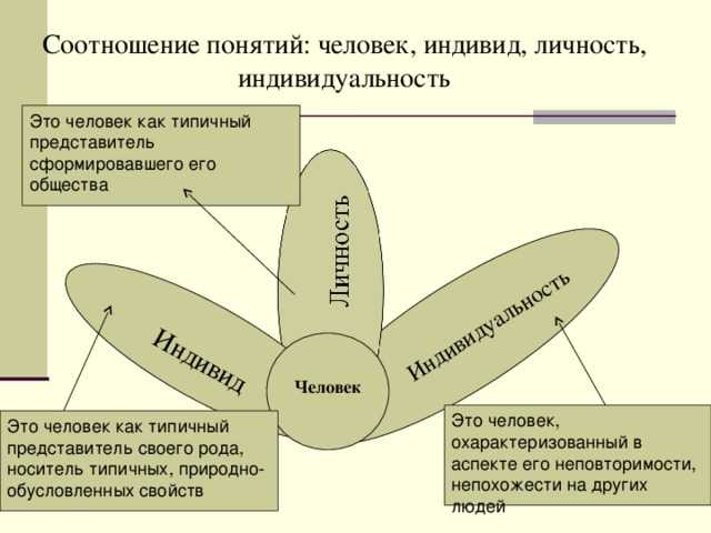 Человек в психологии схема